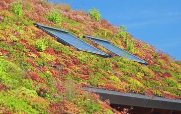 Ozleworth living roof systems